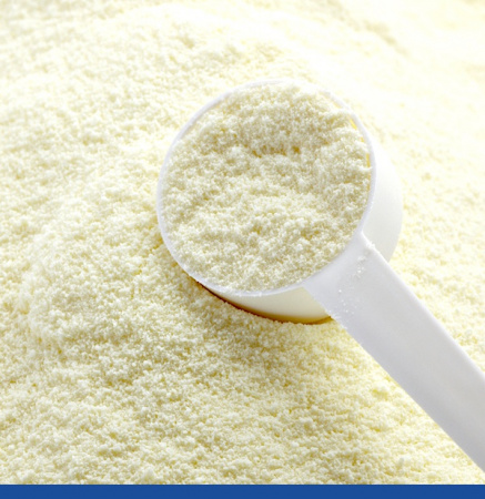 Йогурт Сухой Классический порошок 100 г